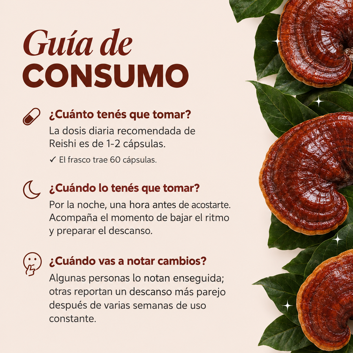 Reishi